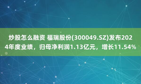 炒股怎么融资 福瑞股份(300049.SZ)发布2024年度业绩，归母净利润1.13亿元，增长11.54%