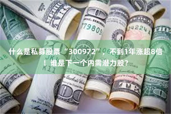 什么是私募股票 “300972”，不到1年涨超8倍！谁是下一个内需潜力股？
