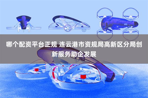 哪个配资平台正规 连云港市资规局高新区分局创新服务助企发展