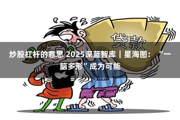 炒股杠杆的意思 2025深蓝智库｜星海图： “一脑多形”成为可能