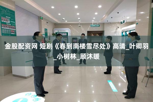 金股配资网 短剧《春到南楼雪尽处》高清_叶卿羽_小树林_顾沐暖