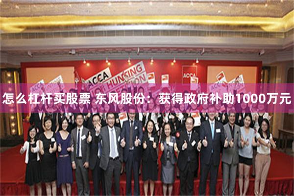 怎么杠杆买股票 东风股份：获得政府补助1000万元