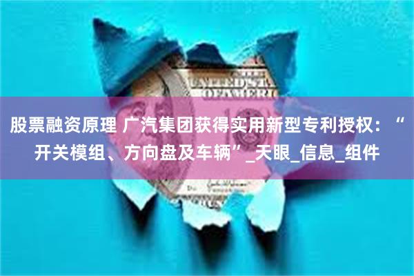 股票融资原理 广汽集团获得实用新型专利授权：“开关模组、方向盘及车辆”_天眼_信息_组件